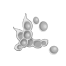 Soybean